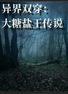 异界双穿大糖盐王传说笔趣阁